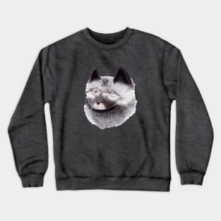 Keeshond dog Crewneck Sweatshirt